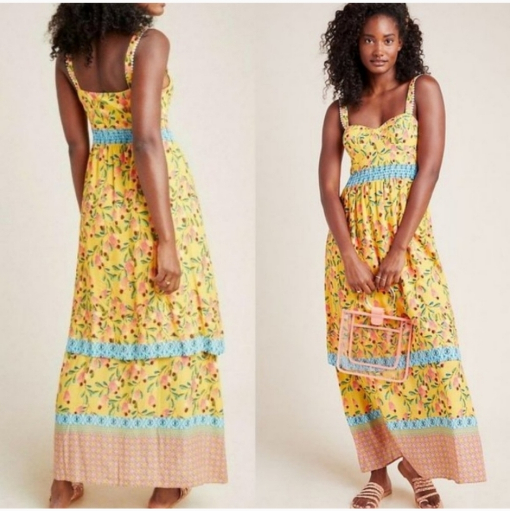 Farm Rio for Anthropologie Anjou Maxi Long Dress